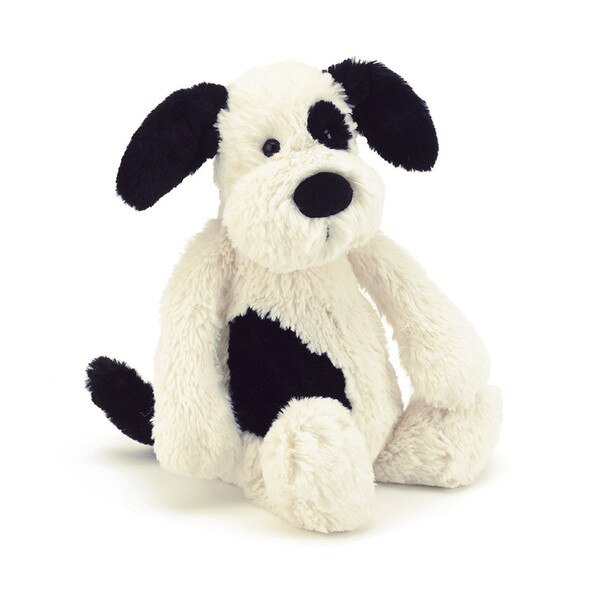 bashful black and cream puppy